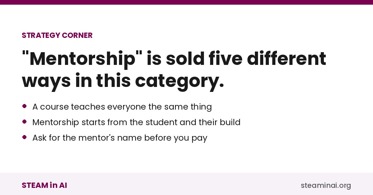What AI project mentorship for high school students includes