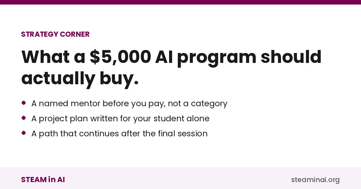 What makes an AI program worth it: named mentor, individual plan, a path after